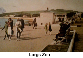 largs zoo icons